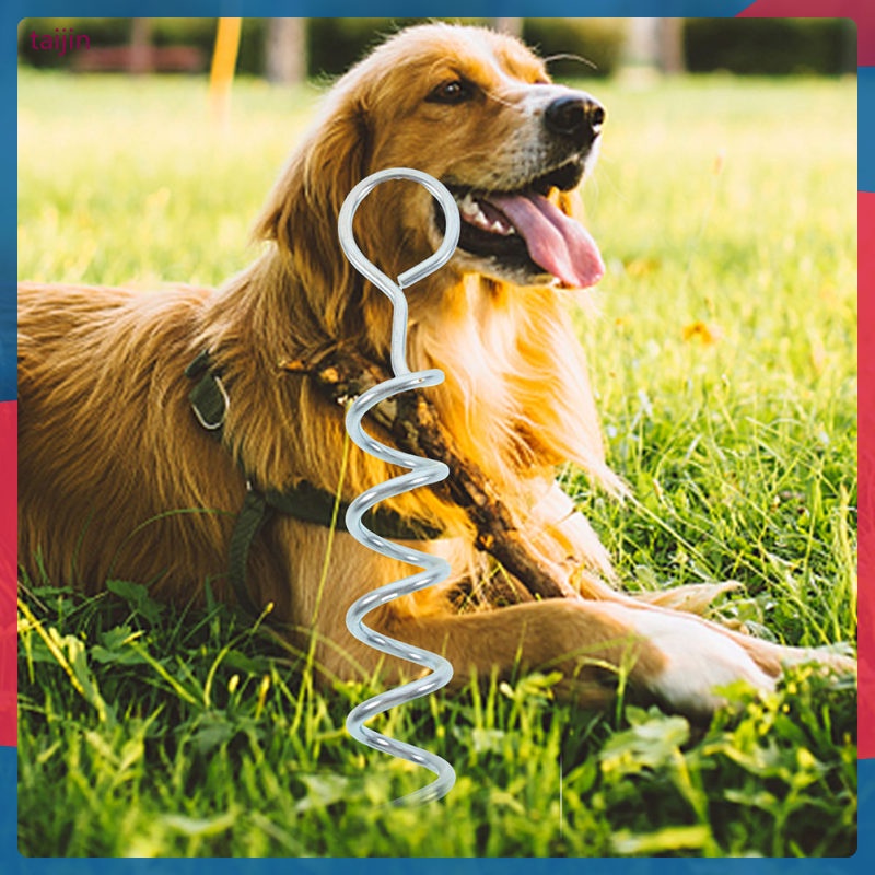 Dog Stakes Tie Large Dogs Out Cable Tethered Pile Iron Spiral Yard