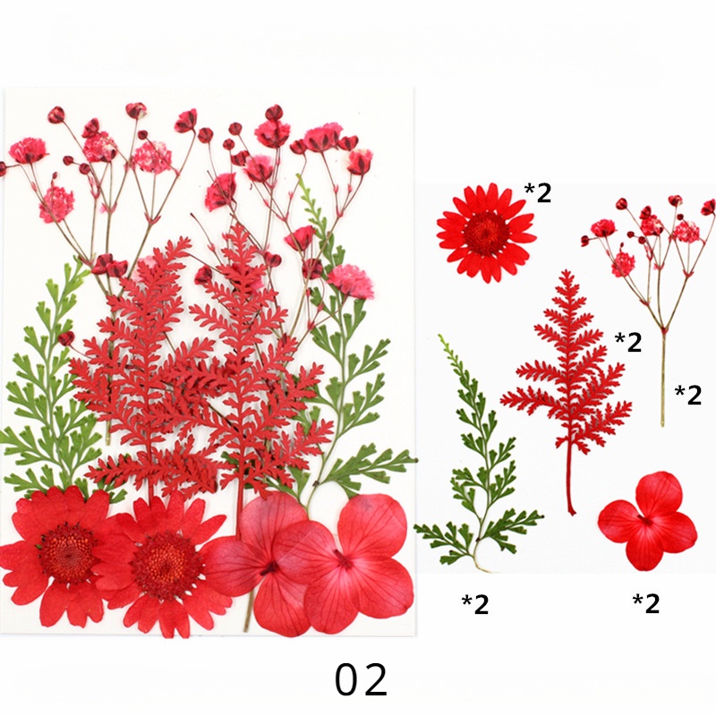 Pressed Dried Flower Material Package, Flower Embossing Material, Photo ...