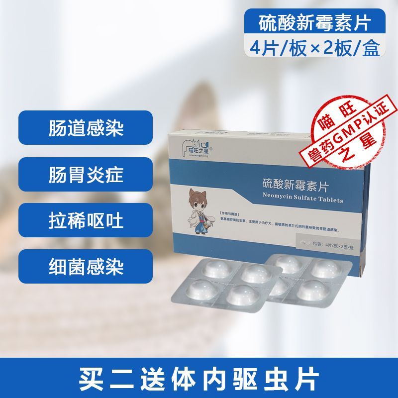 Pet intestinal infection, cat gastroenteritis, dog Pet intestinal