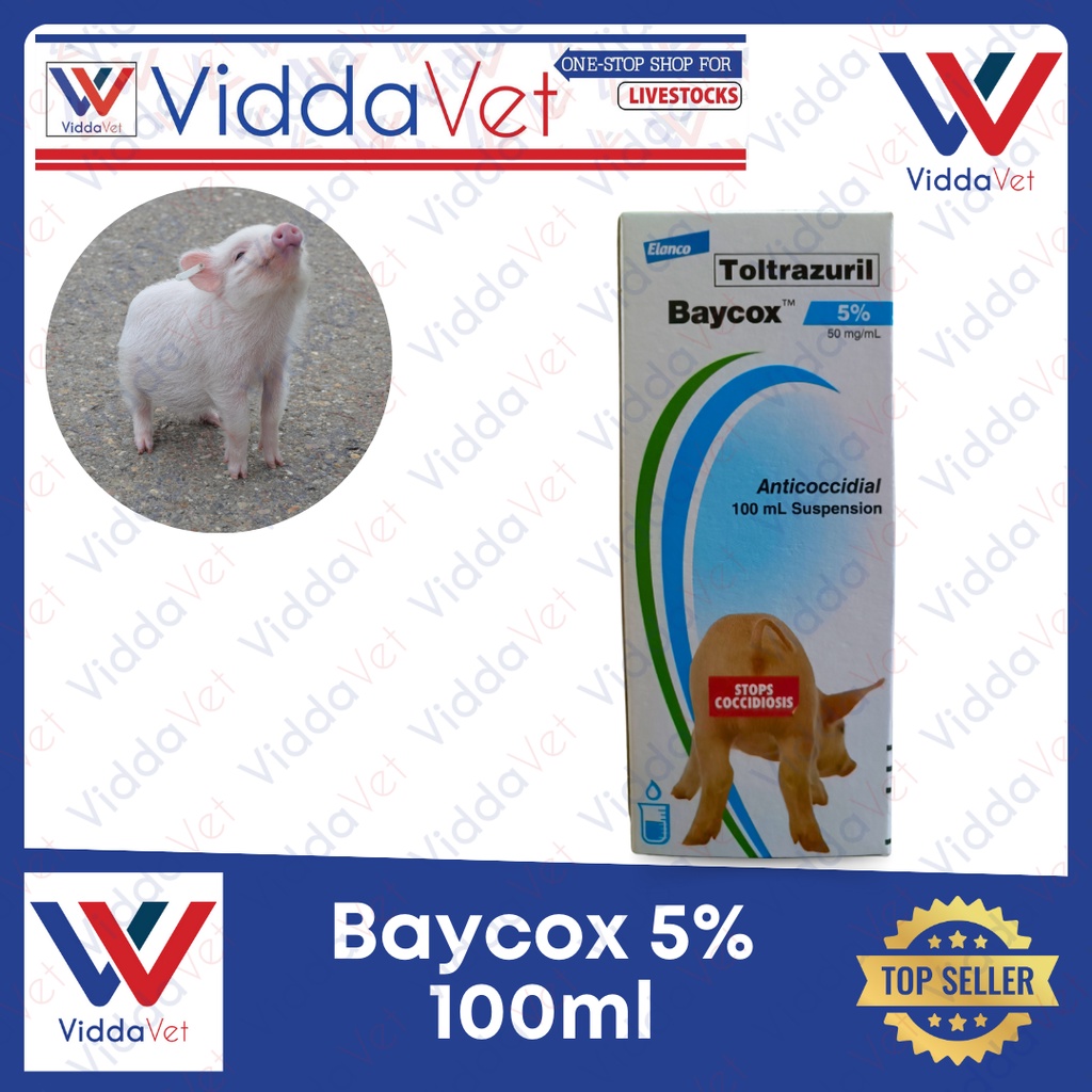 1bot Baycox toltrazuril 5% for Piglet oral Suspension 100ml 1bot Baycox ...