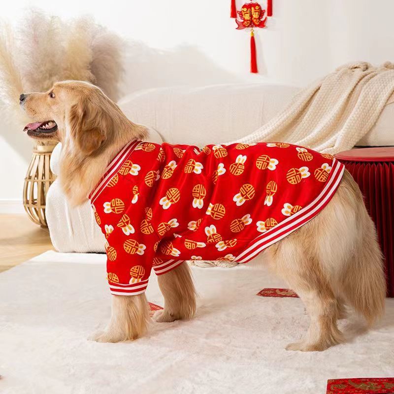 large dog clothes Labrador clothes Golden Retriever warm clothes change