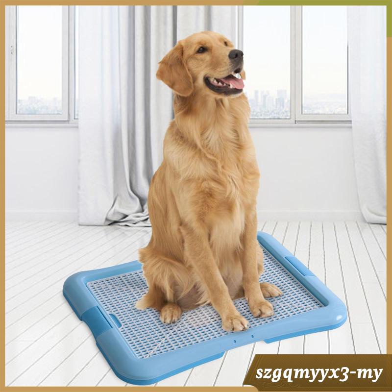 [ Dog Toilet Potty Trainer Detachable Dog Potty Tray Pet Litter Pan