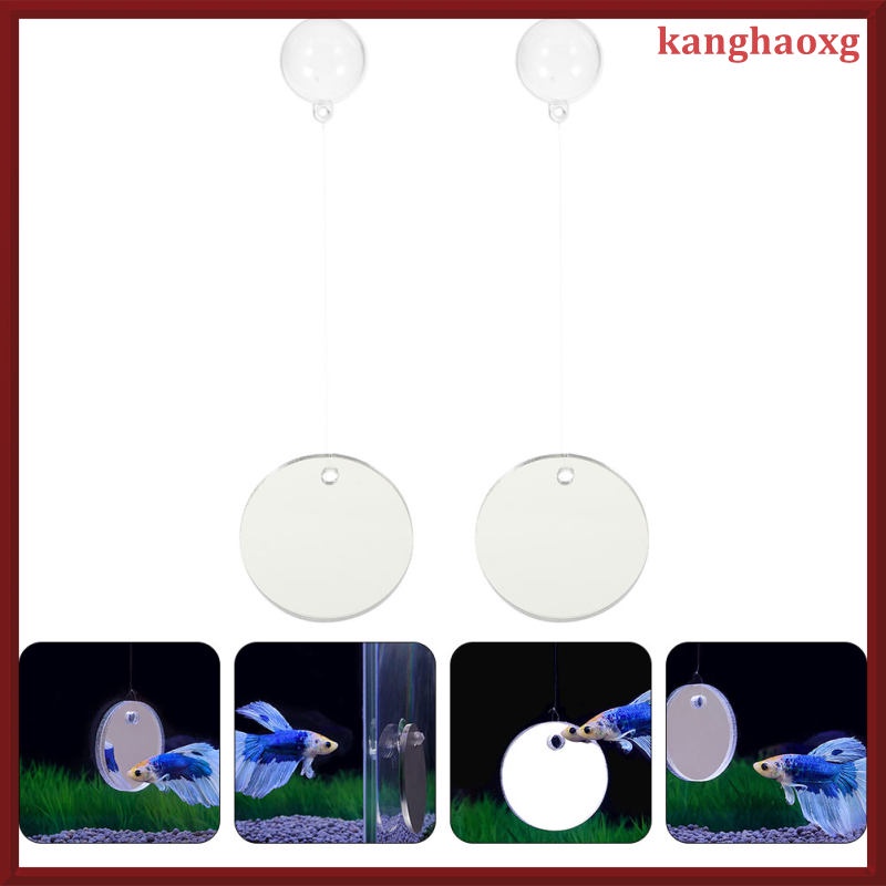 2 Sets Decorative Mirror Floating Fish Tank Mirror Betta Fish Mirror