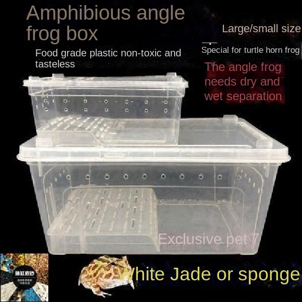 Ready Stock Horned Frog Breeding Box Dedicated Amphibious Breeding Box ...