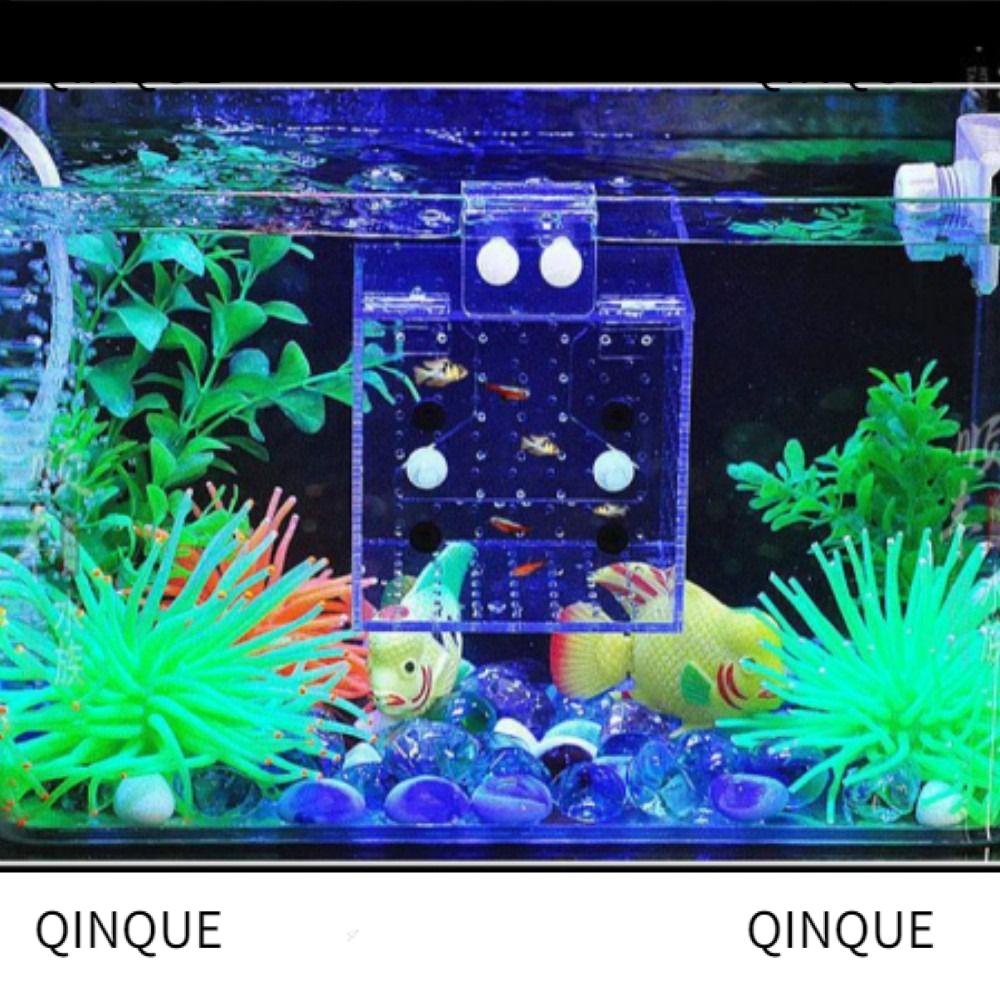 QQIN Fish Separation Breeder Box, Fish Tank Acrylic Aquarium Breeding