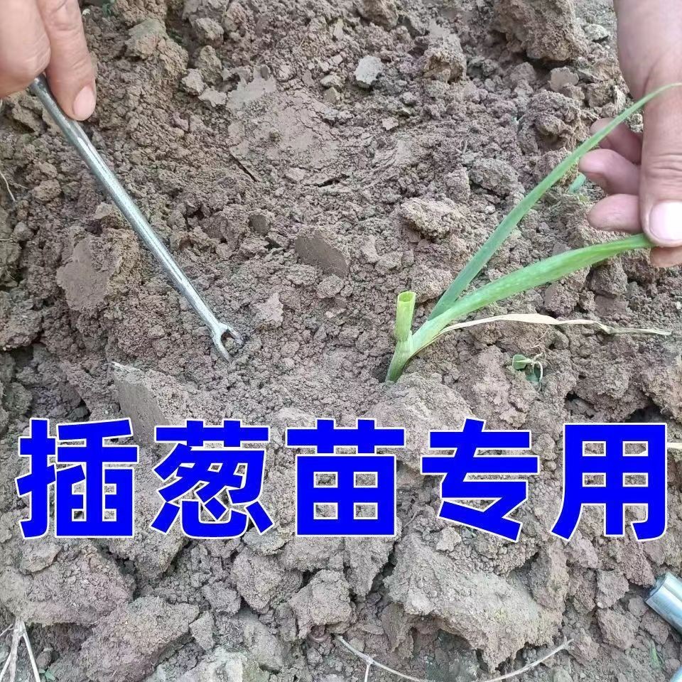 Onion Planting Handy Tool Special for Onion Planting Agricultural Tools ...