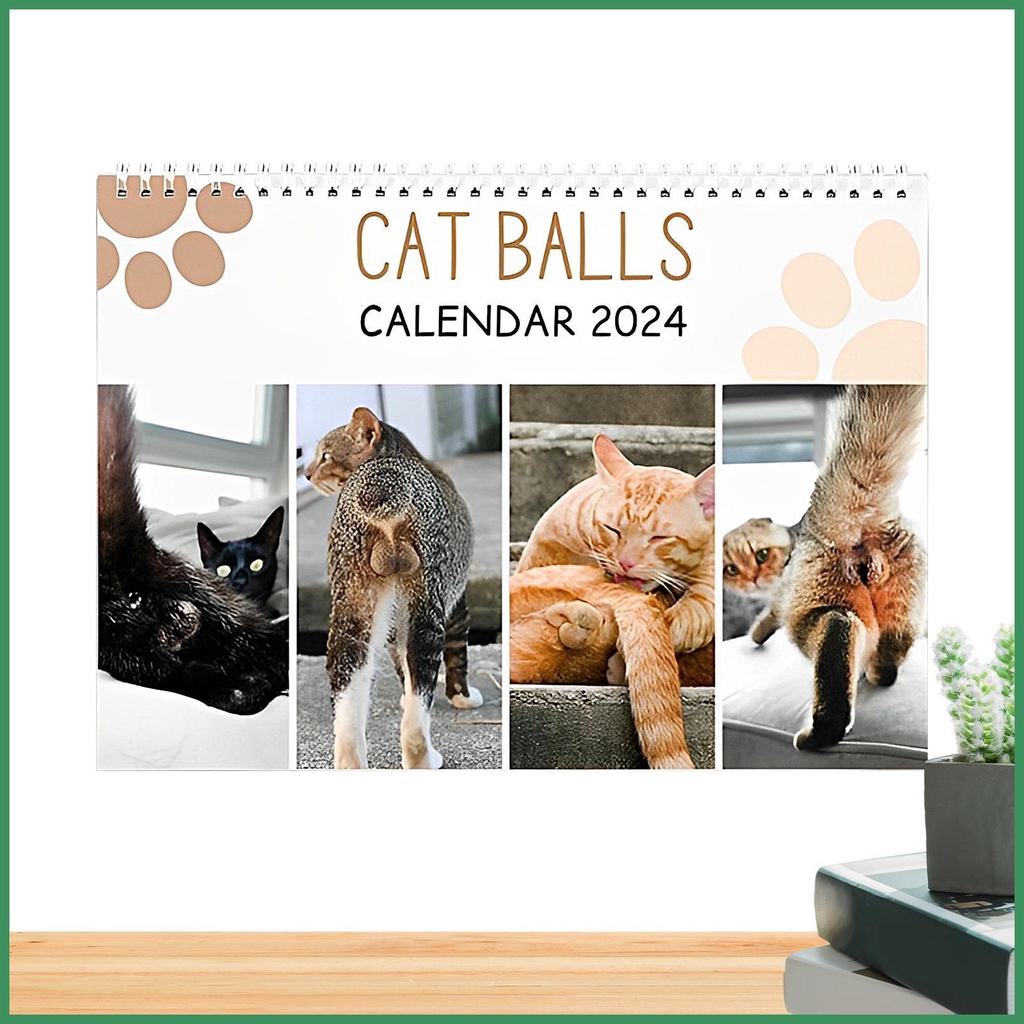 Kitten Calendar 2024 Big Cat Buttholes Calendar Cute Cat 2024 Monthly