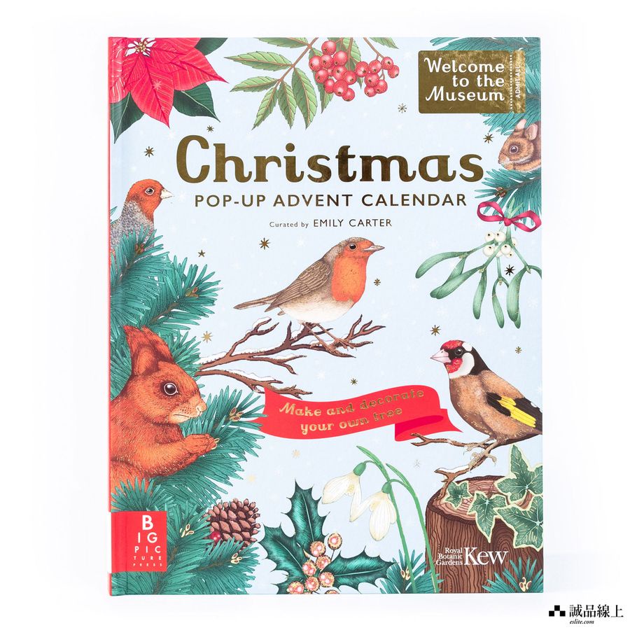 to the Museum A Christmas PopUp Advent Calendar/Christmas