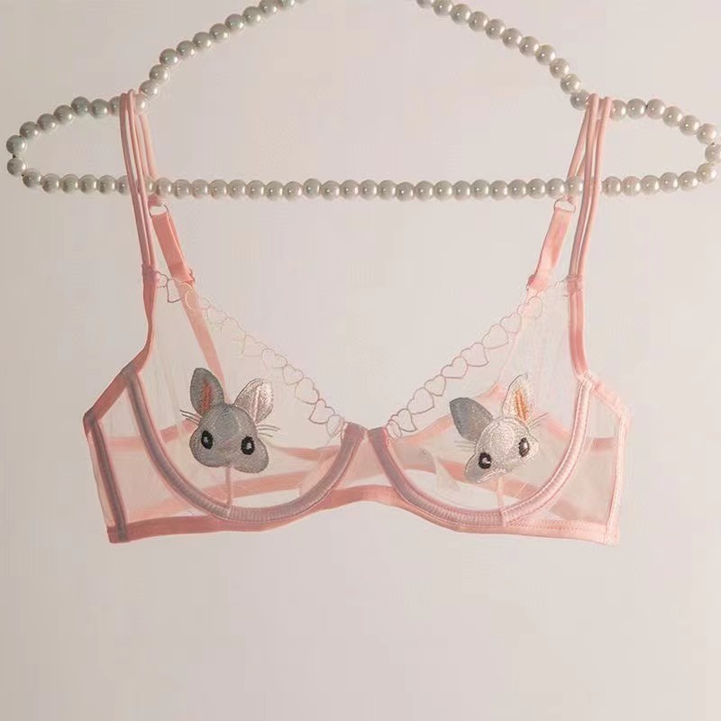 Sexy Cute Rabbit Embroidered Lace Ultra-Thin Frameed Underwear Women ...