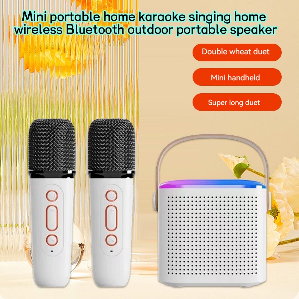 Bluetooth Portable Wireless Karaoke Set with Microphone Mini Speaker HIFI Stereo Sound 7W High