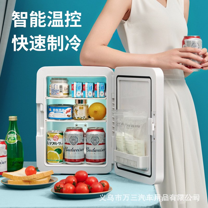 SAST car refrigerator small household refrigerated cosmetics mirror