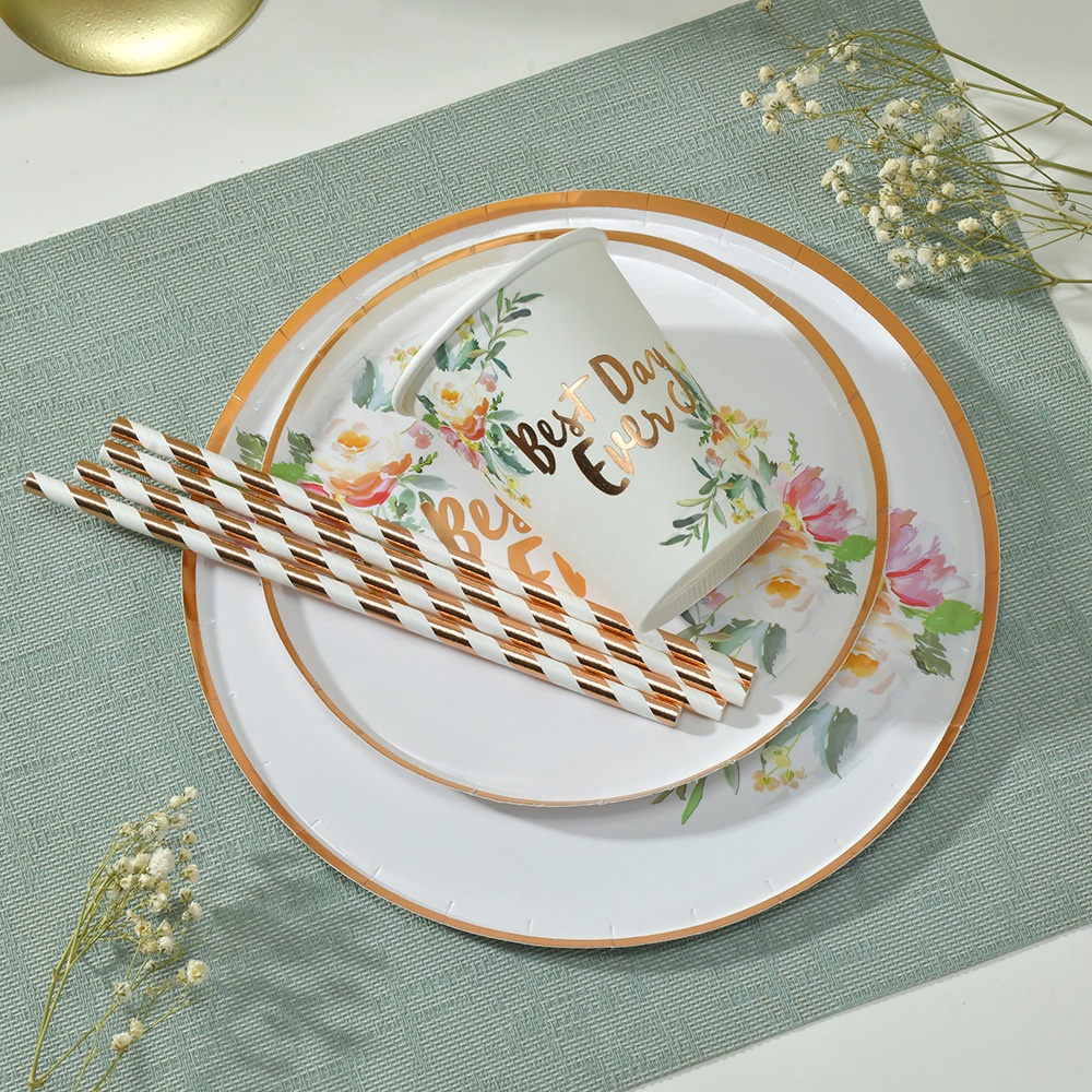 Disposable Hand-Painted Series Paper Tableware Holiday Party Birthday ...