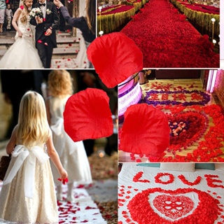 500/1000Pcs Valentines Day Decor Happy Anniversary Red Rose Petals for  Romantic Night for Her Set Red Flowers Roses Artificial Flowers Romantic  Wedding Anniversary New Year Decorations