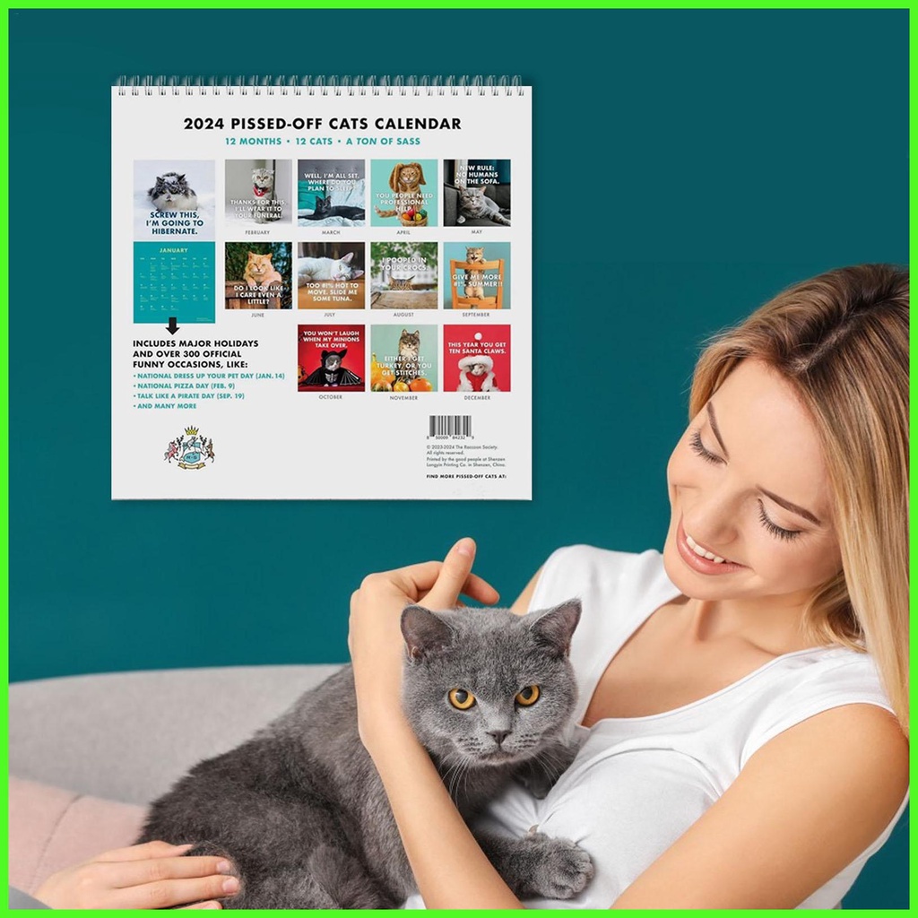 Funny Cat Desk Calendar 2024 Creative Monthly Calendar For Classroom