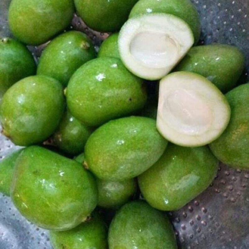 Pauh Ringan Mangga Telor Masam Buah Terhad Shopee Malaysia