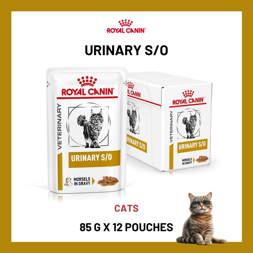 Royal Canin Veterinary Diet URINARY S O 410g Dog Wet Food Pet Warehouse