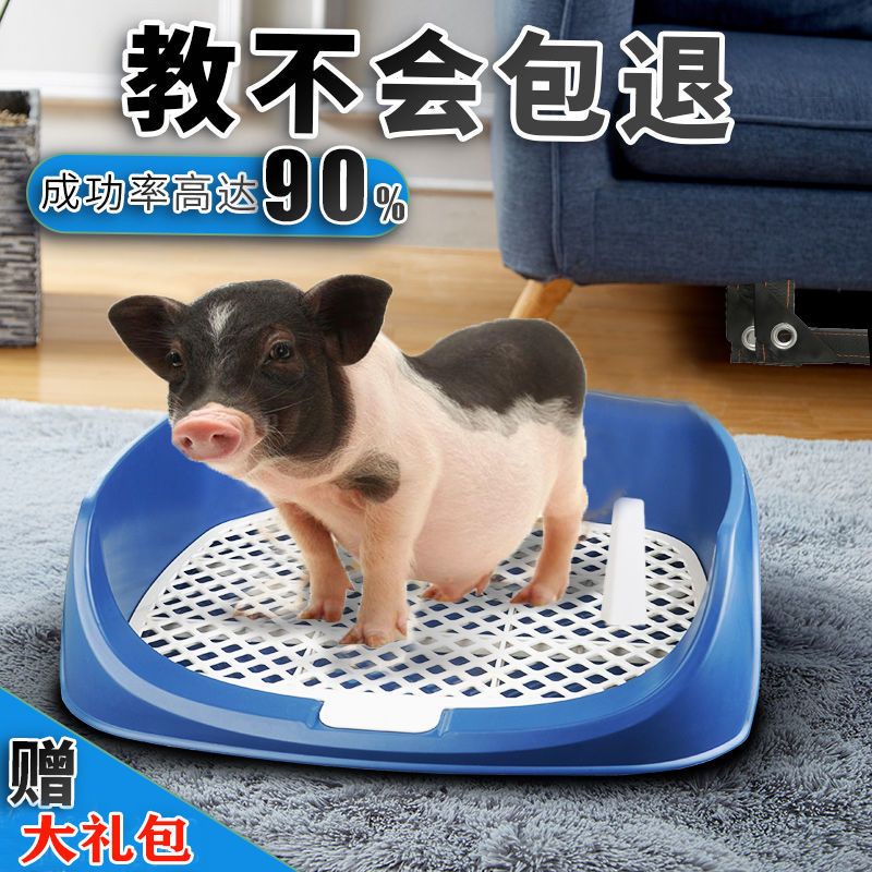 Xiaoxiang Pig Toilet Dedicated Pet Pig Toilet Shit Urine Manure Potty