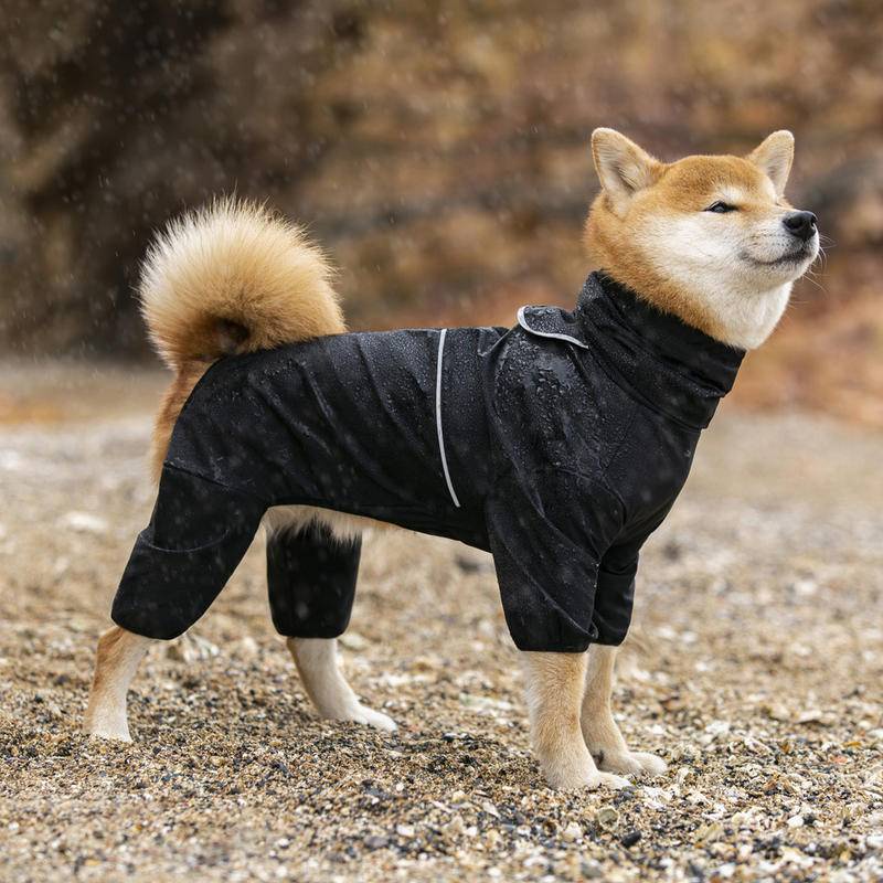 Shiba raincoat outlet