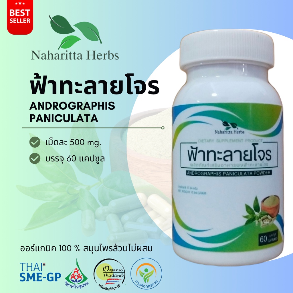 Andrographis paniculata 1 60cap. | Shopee Malaysia