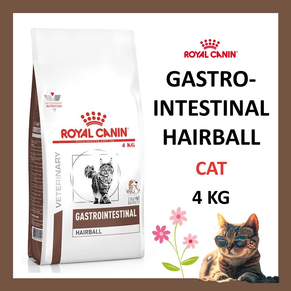 Royal canin gastrointestinal cat sales 4kg