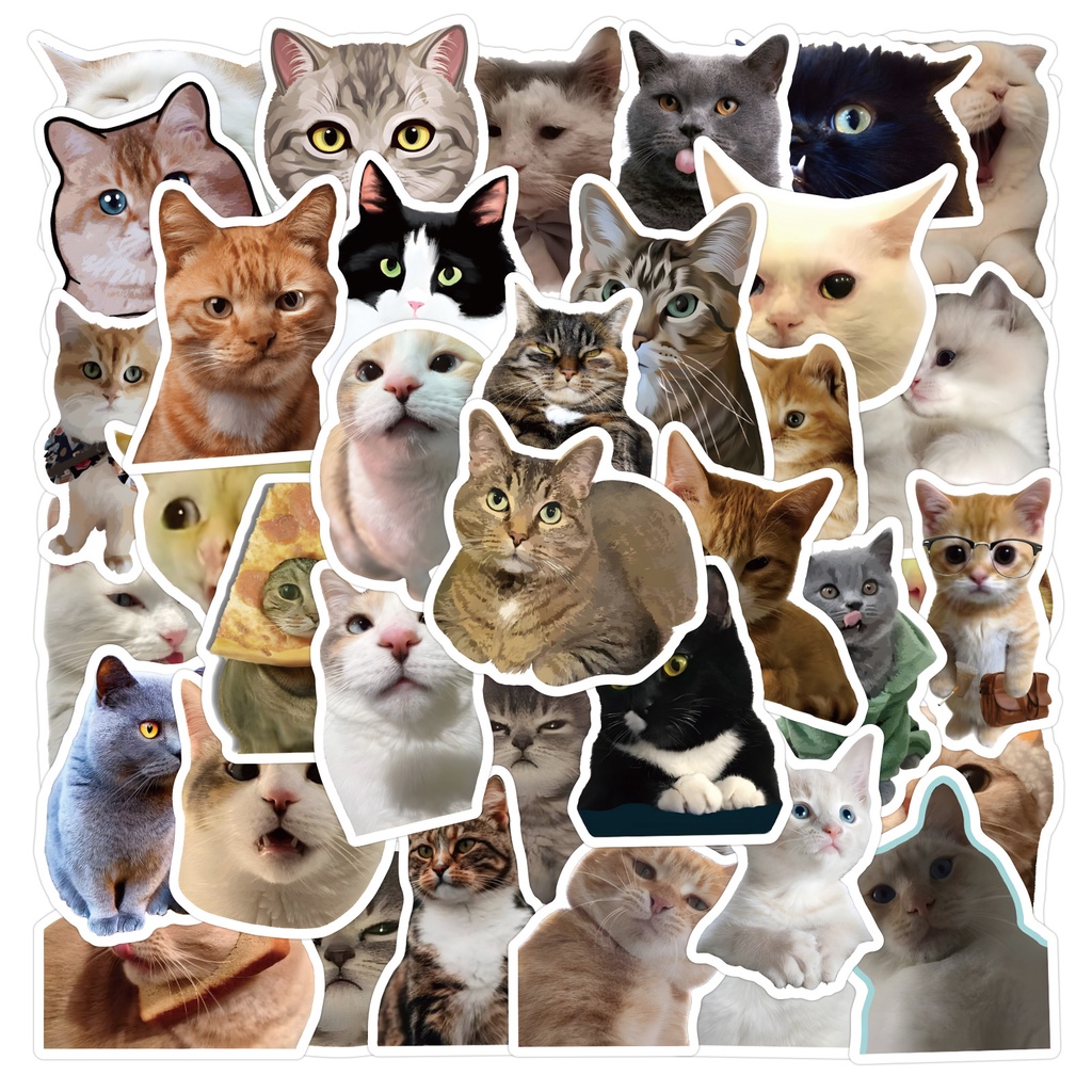 50CPS INS Korean Style Cute Realistic Kitten Waterproof Graffiti ...