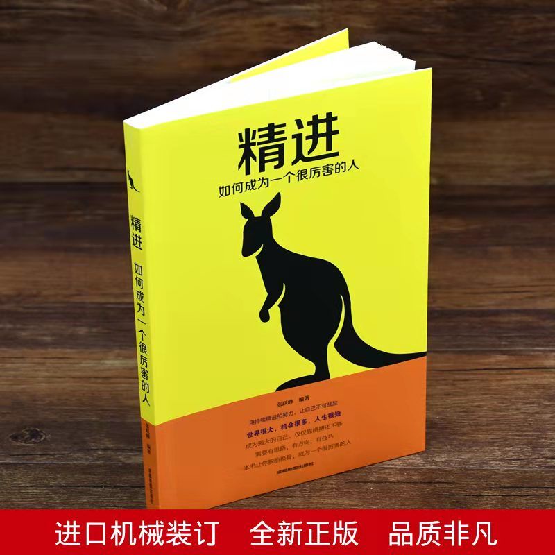 正版书籍现货《精进》如何成为一个很厉害的人一本实用高效的成功