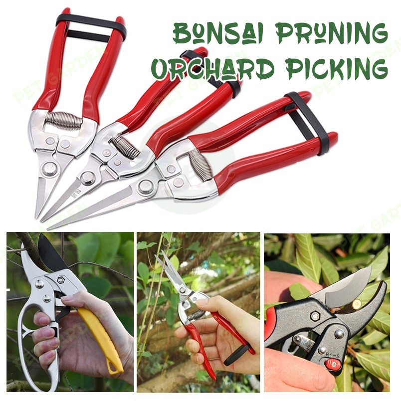 Garden Scissors Fruit Picker Pruning Shears Plants Trimmer Secateurs
