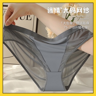 Womens Panties Mesh Transparent T Pants Sexy Quick Drying