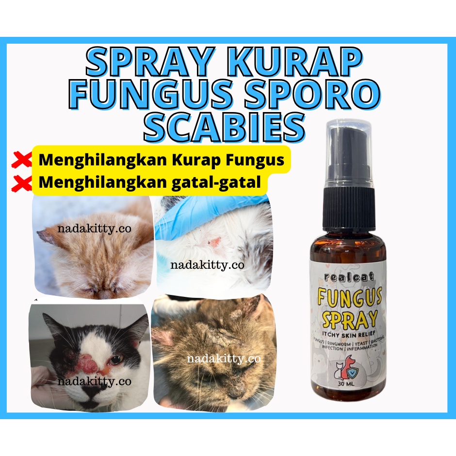 Spray Kurap Fungus Ringworm Gatal Scabies Kucing Anjing 30ml Shopee