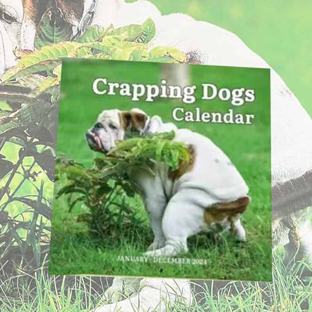 2024 Wall Calendar 12 Monthly Pooping Dogs Calendar Funny Dog Calendar