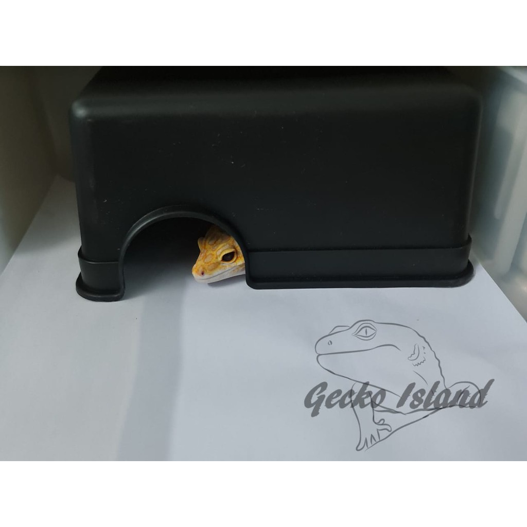 🔥READYSTOCK🔥 Reptile hide box(Big Size) 爬虫躲避屋 (Leopard gecko,Fat tail ...