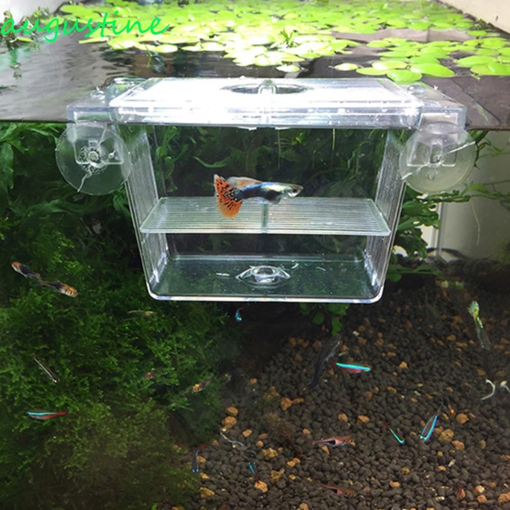 AUGUSTINE Fish Isolation Box Clownfish Acrylic Incubator Isolation with ...