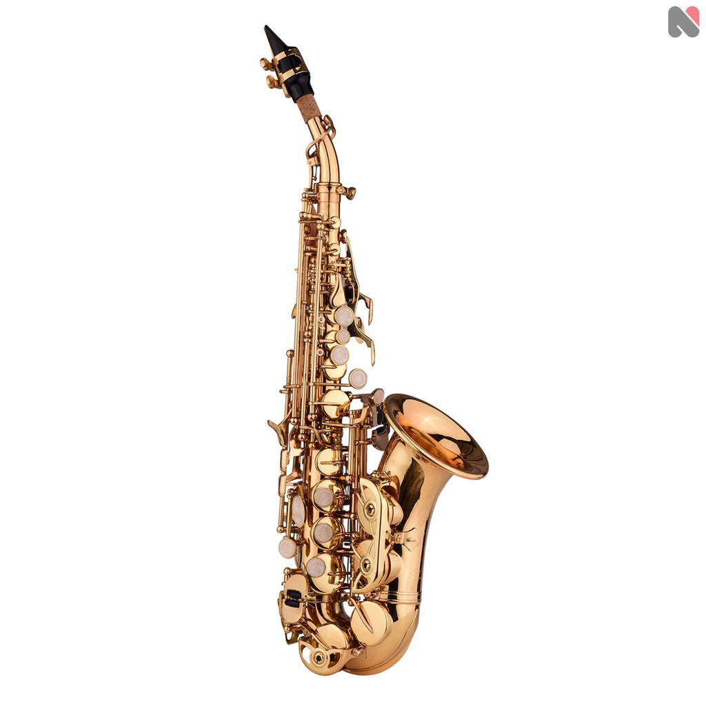Carry Sax Bb Saxophone Gloves Cleaning Cloth Brass Reeds Surface Brush Case Soprano Woodwind