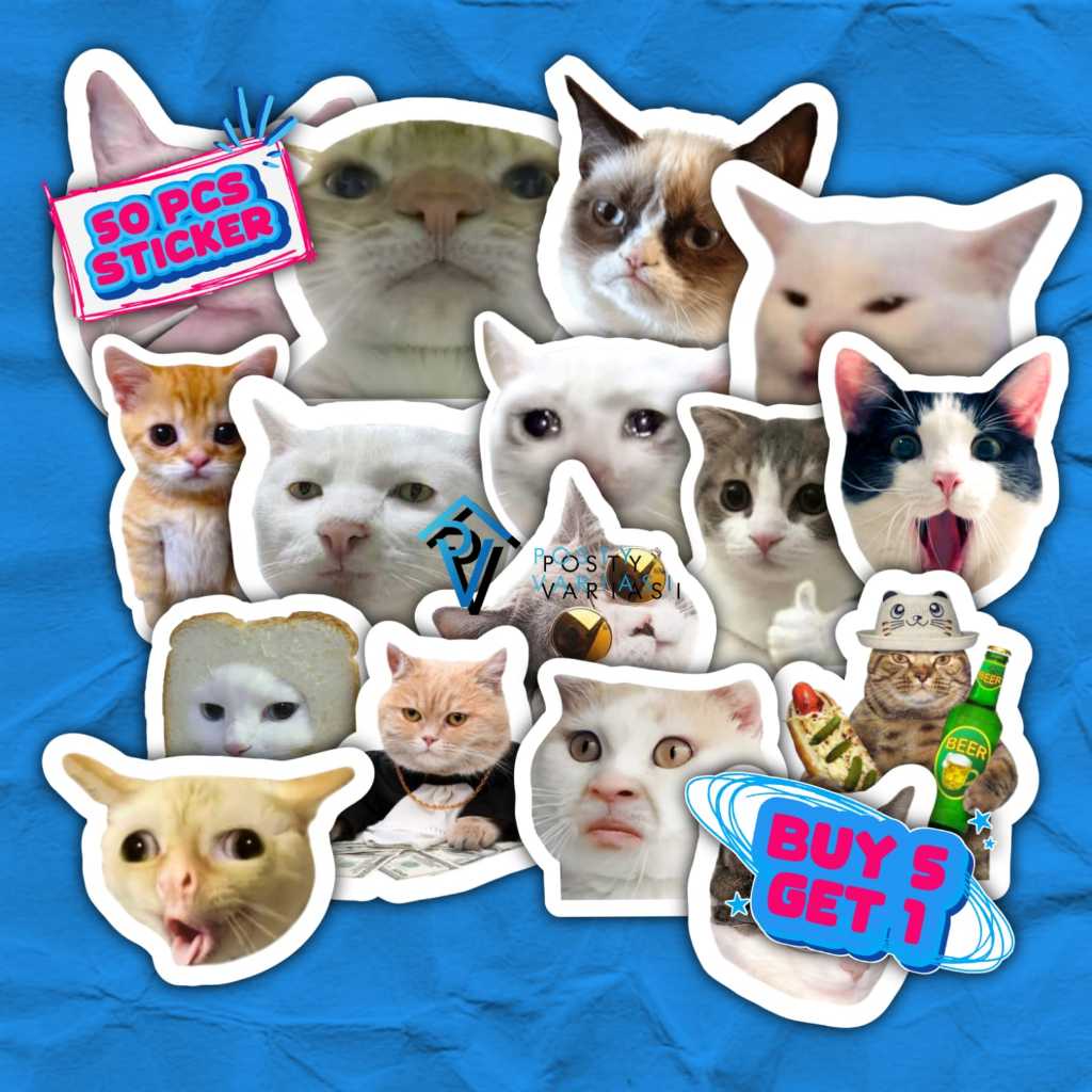 50pcs MEME Stickers/MEME PACK Stickers/Cat PACK Stickers/KOCHENG Memes ...