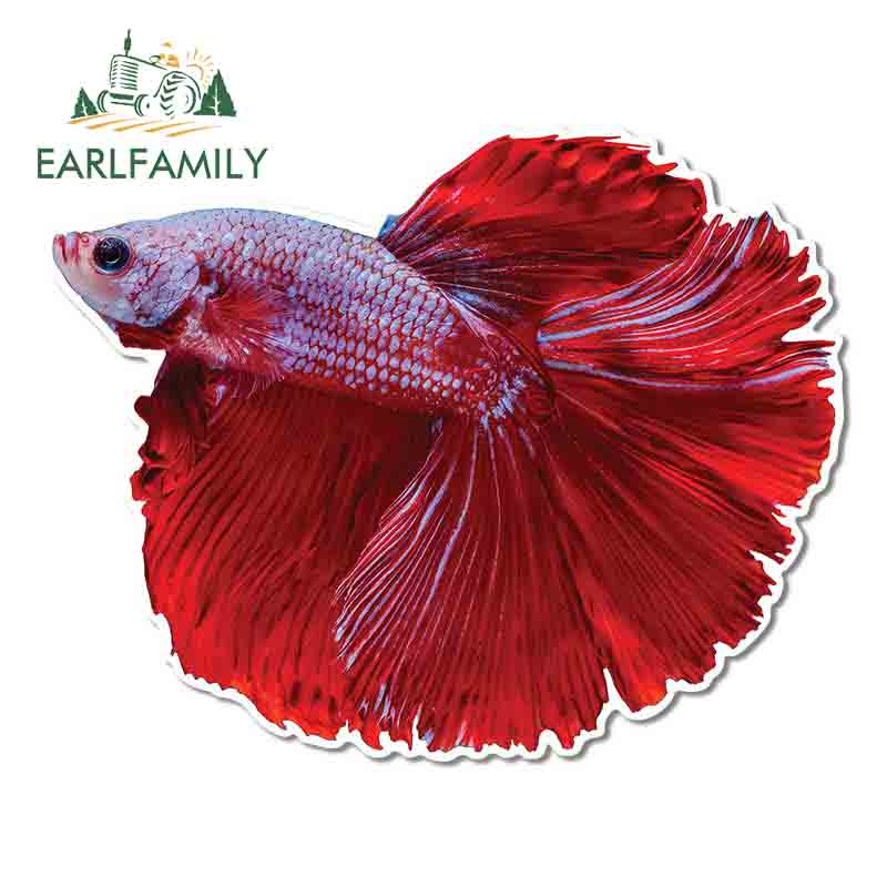 EARLFAMILY 13cm x 4.3cm For Betta Fish Vinyl Race Car Stickers ...
