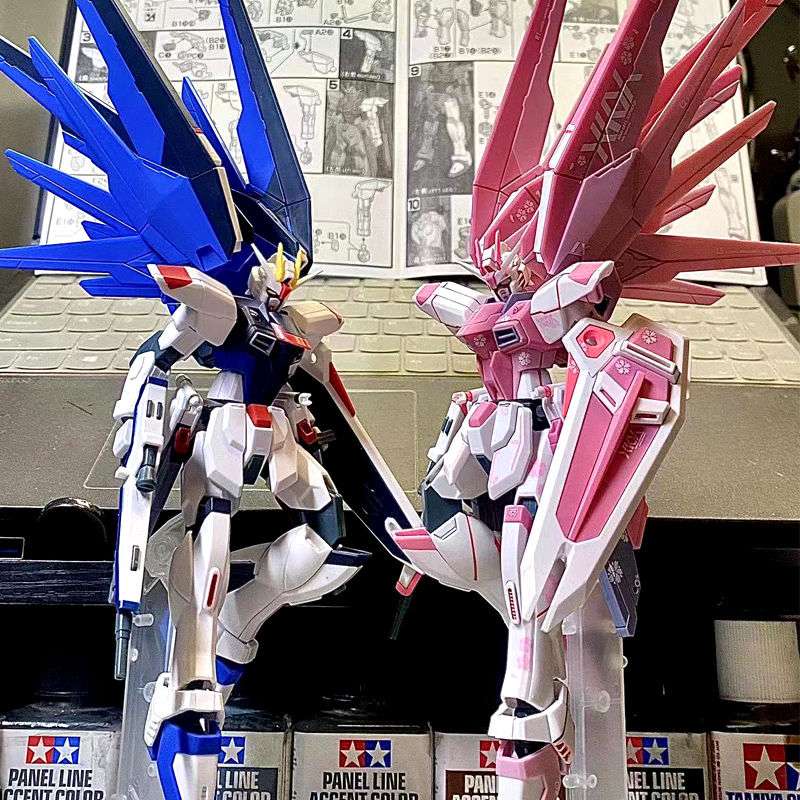 HG/144 Freedom Gundam ZGMFX10A Sakura Pink Freedom Gundam+Apply decals+brackets Shopee Malaysia