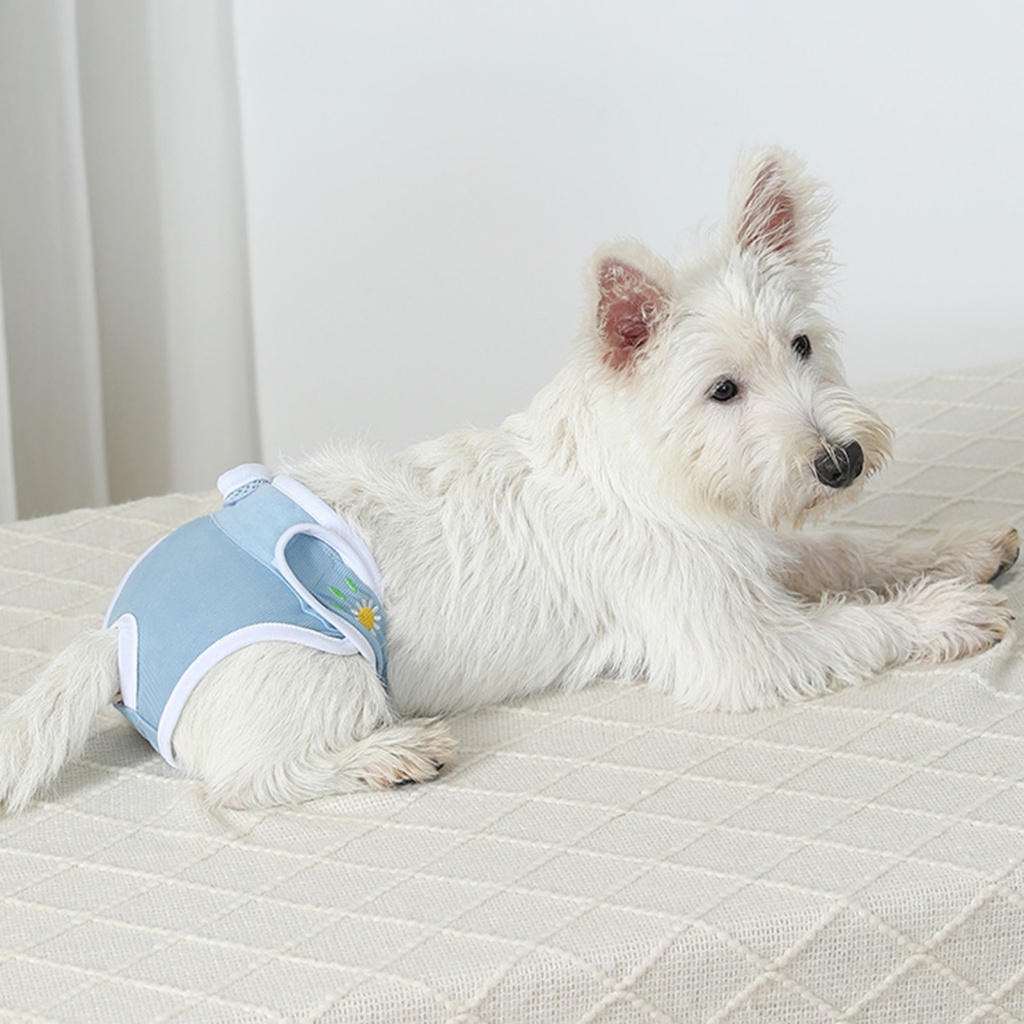 yemianbuj.cl Female Dog Heat Pants Prevent Staining with Pet Diapers