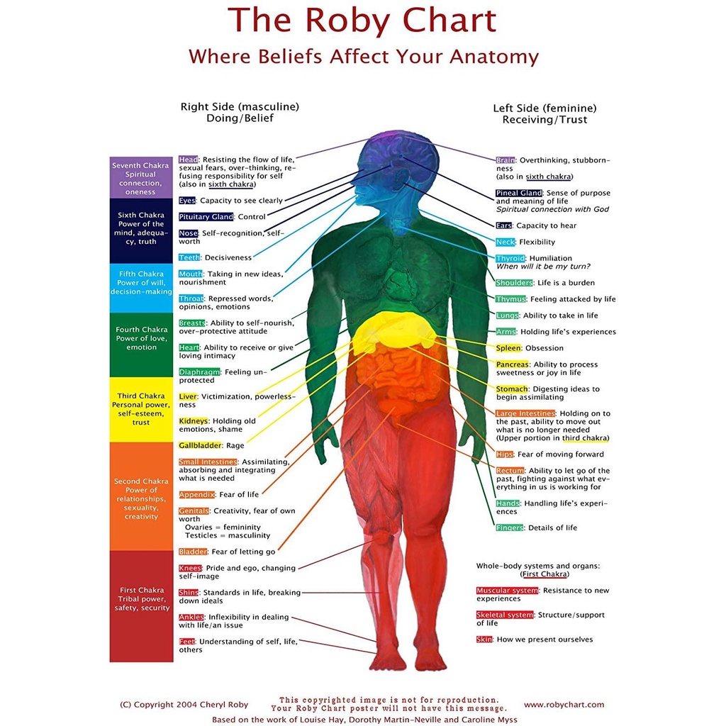 The Roby Chart: Where Beliefs Affect Your Anatomy White Background x ...