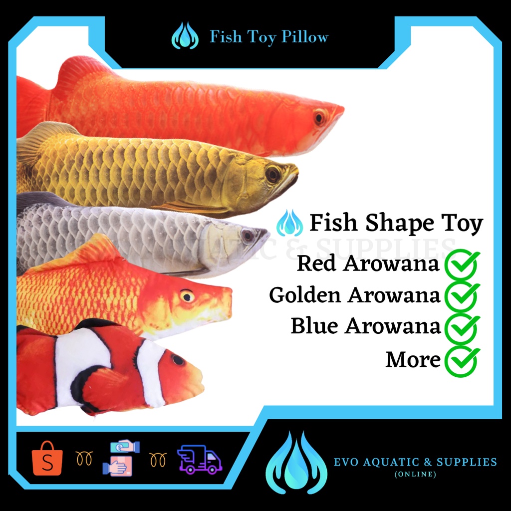 Buy red arowana fish hot sale online