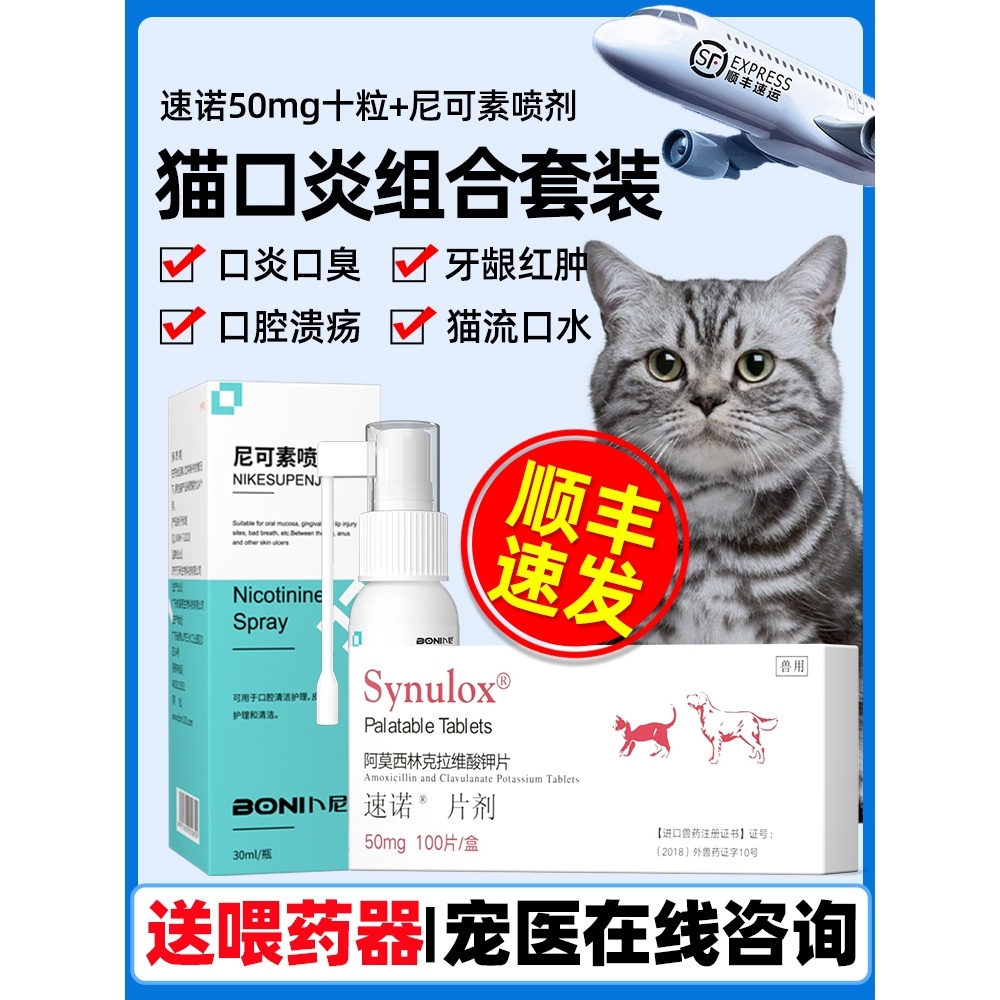 Cat Medicine Cat Medicine Cat Medicine Special AntiInflammatory