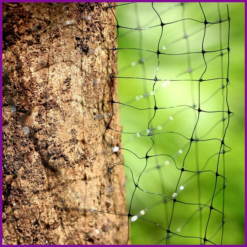 Anti Bird Protection Net Anti Bird Deer Protection Pond Netting 7x66ft ...