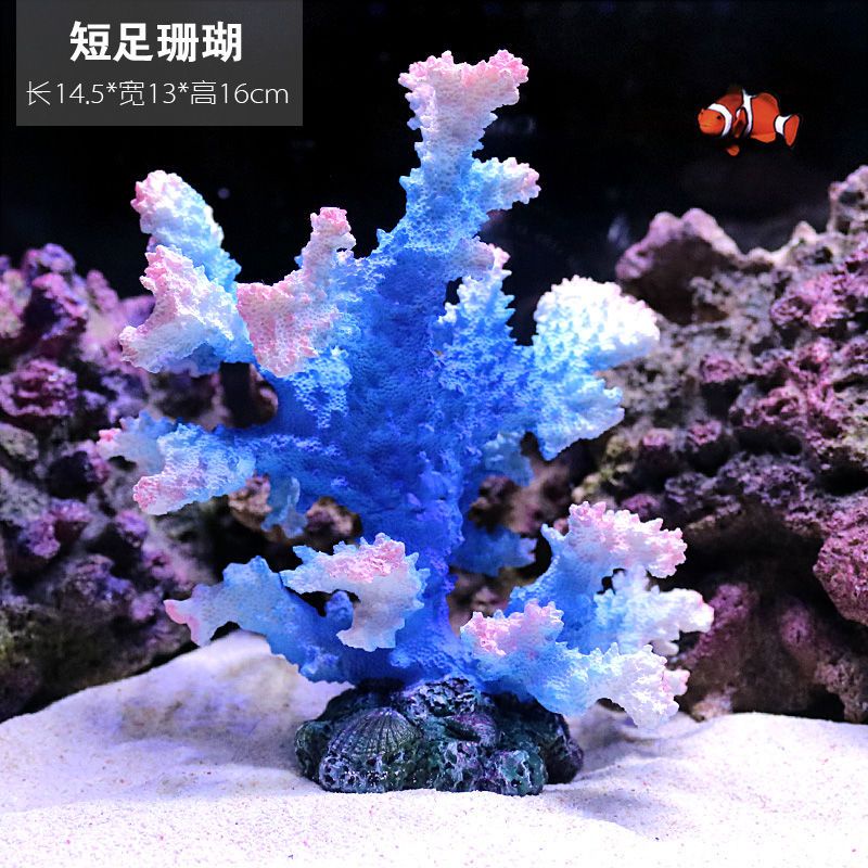 仿真珊瑚礁石造景假山贝壳假珊瑚鱼缸装饰水族箱摆件水草海缸布景Simulated coral reef landscape, rockery,  seashell, and artificial coral20240108