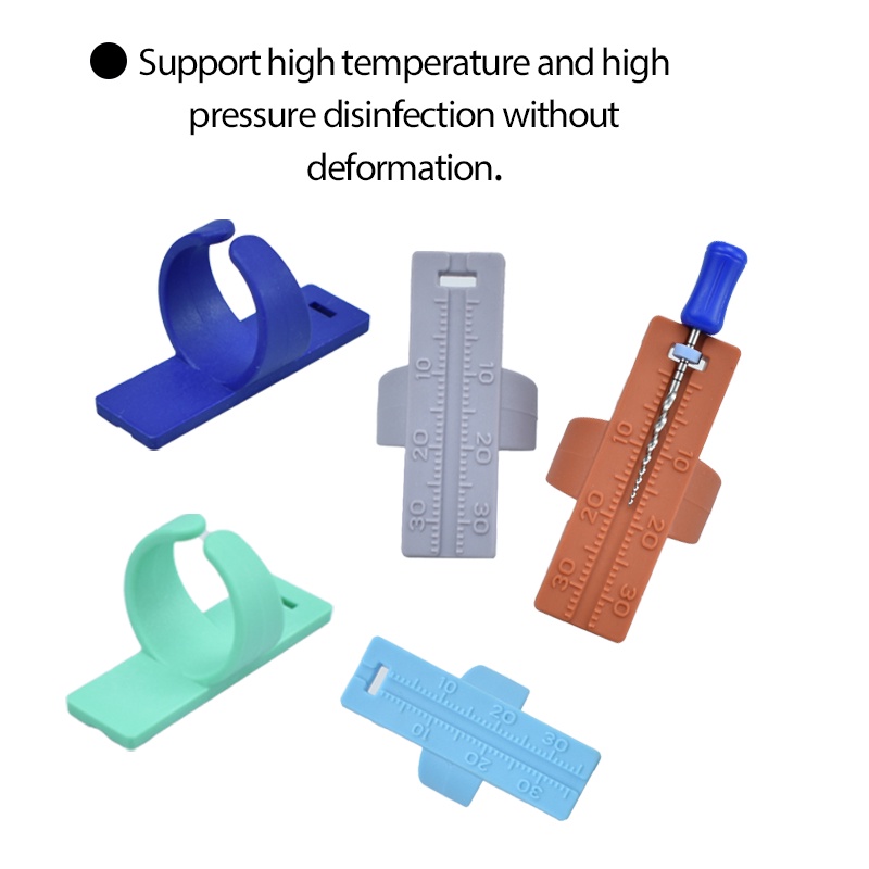 In StockM5 Dental Ruler Plastics Instrument Colorful Dentistry Ring