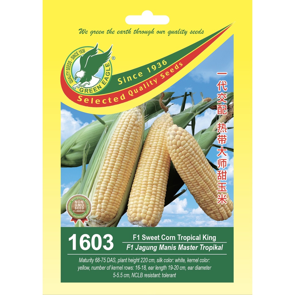 1603 (1602) F1 Hybrid Sweet Corn Tropical King / Jagung Manis Master ...