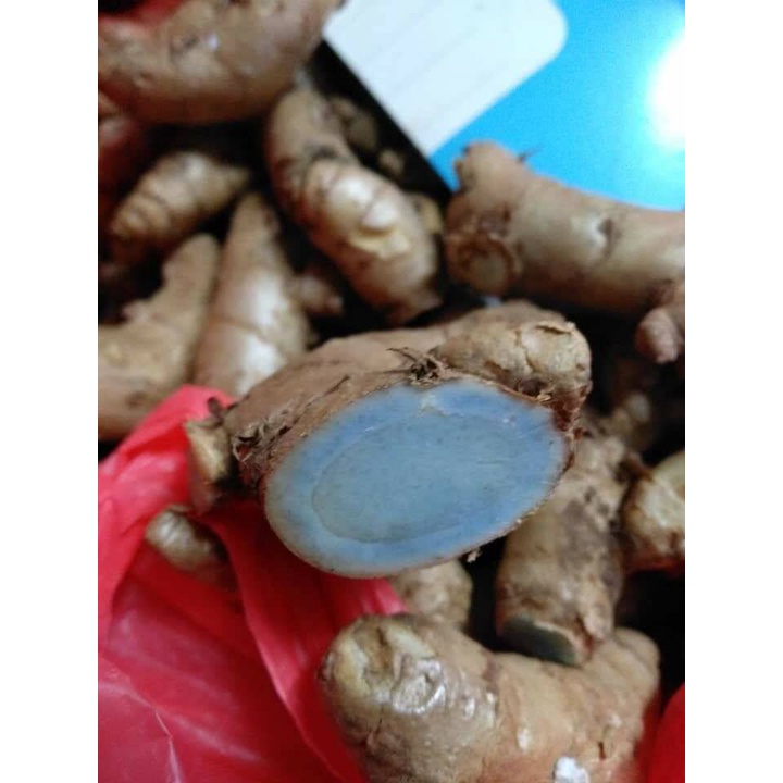 1 KG CURCUMA CAESIA/ BLACK TUMERIC / KUNYIT HITAM INDIA / KALI HALDI