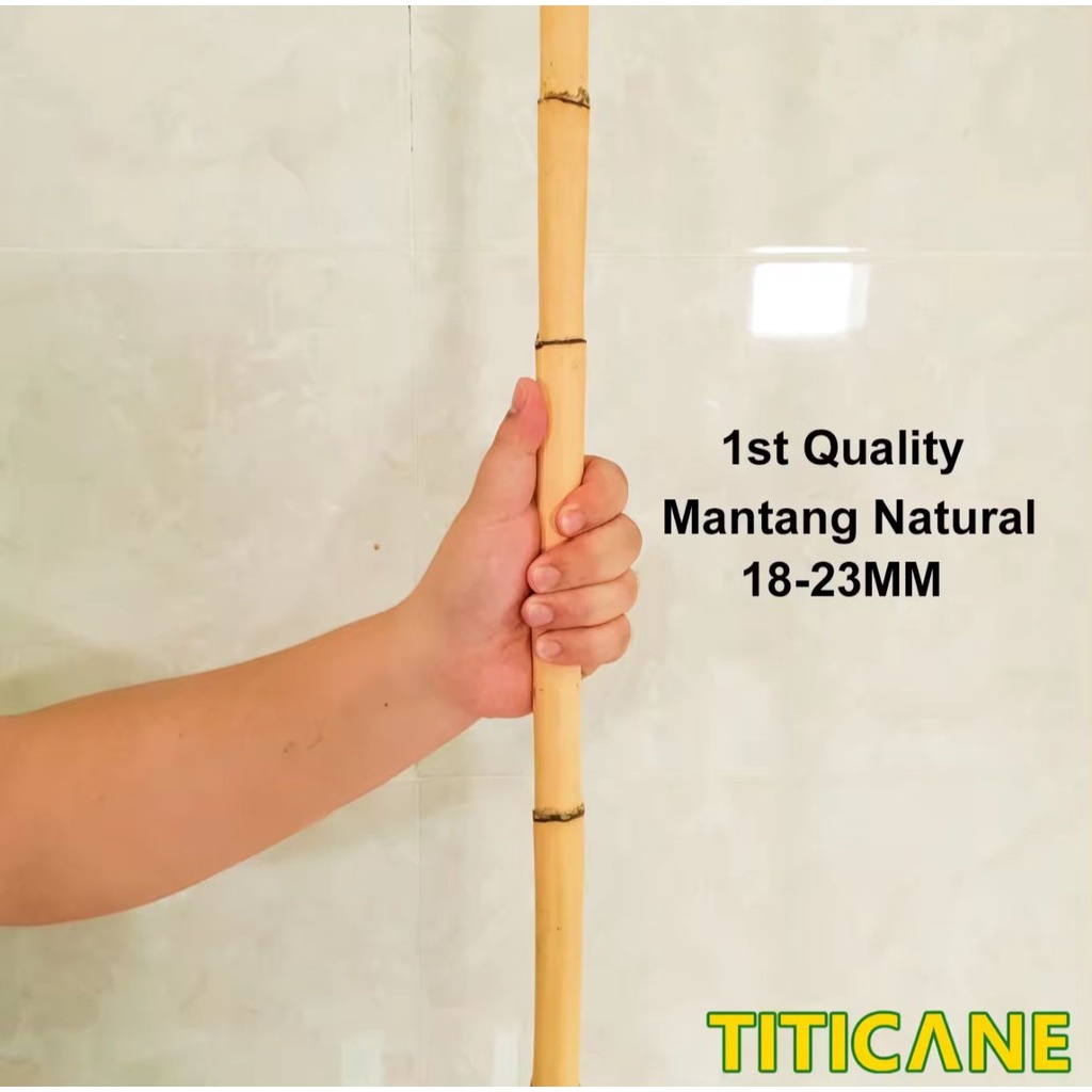TITICANE Mantang Natural Stick [ 54 INCH ] [ 18-23mm ] [ Rattan / Rotan ...
