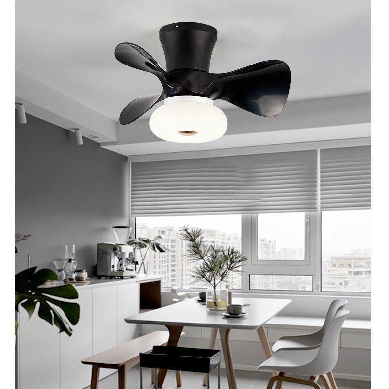 Modern Simple Ceiling Fan with Lamp 3 Color Light 3 Speed Wind Fan ...