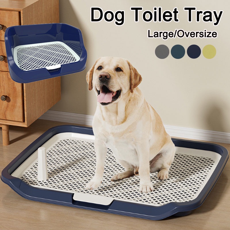 Large dog toilet tray best sale