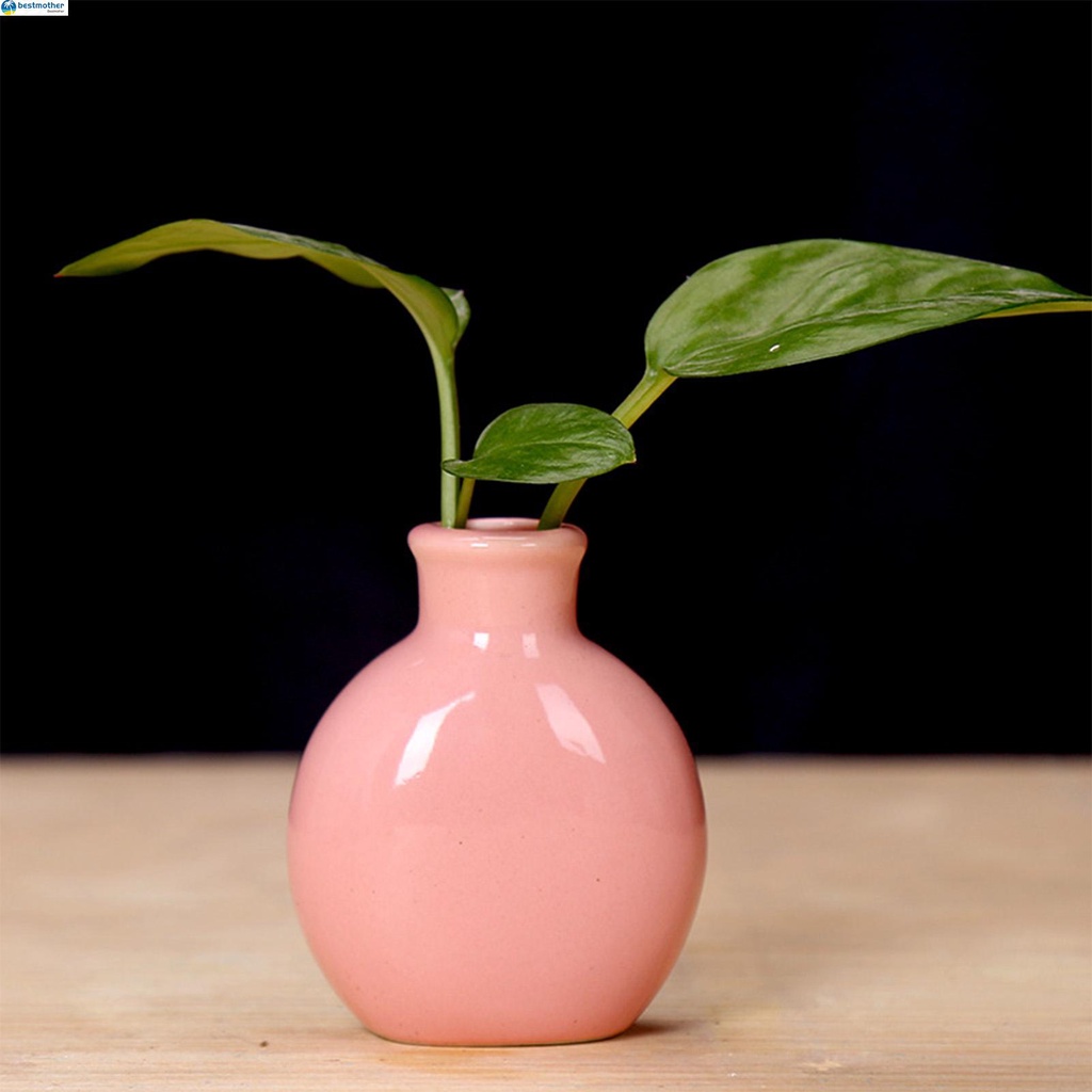 Mini Bud Vases Tiny Flower Vase Modern Farmhouse Flower Vases Shopee Malaysia