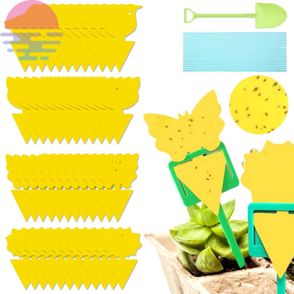 Plant Fly Killer Sticky DualSided Fruit Insect Killer Cute Plant Gnat